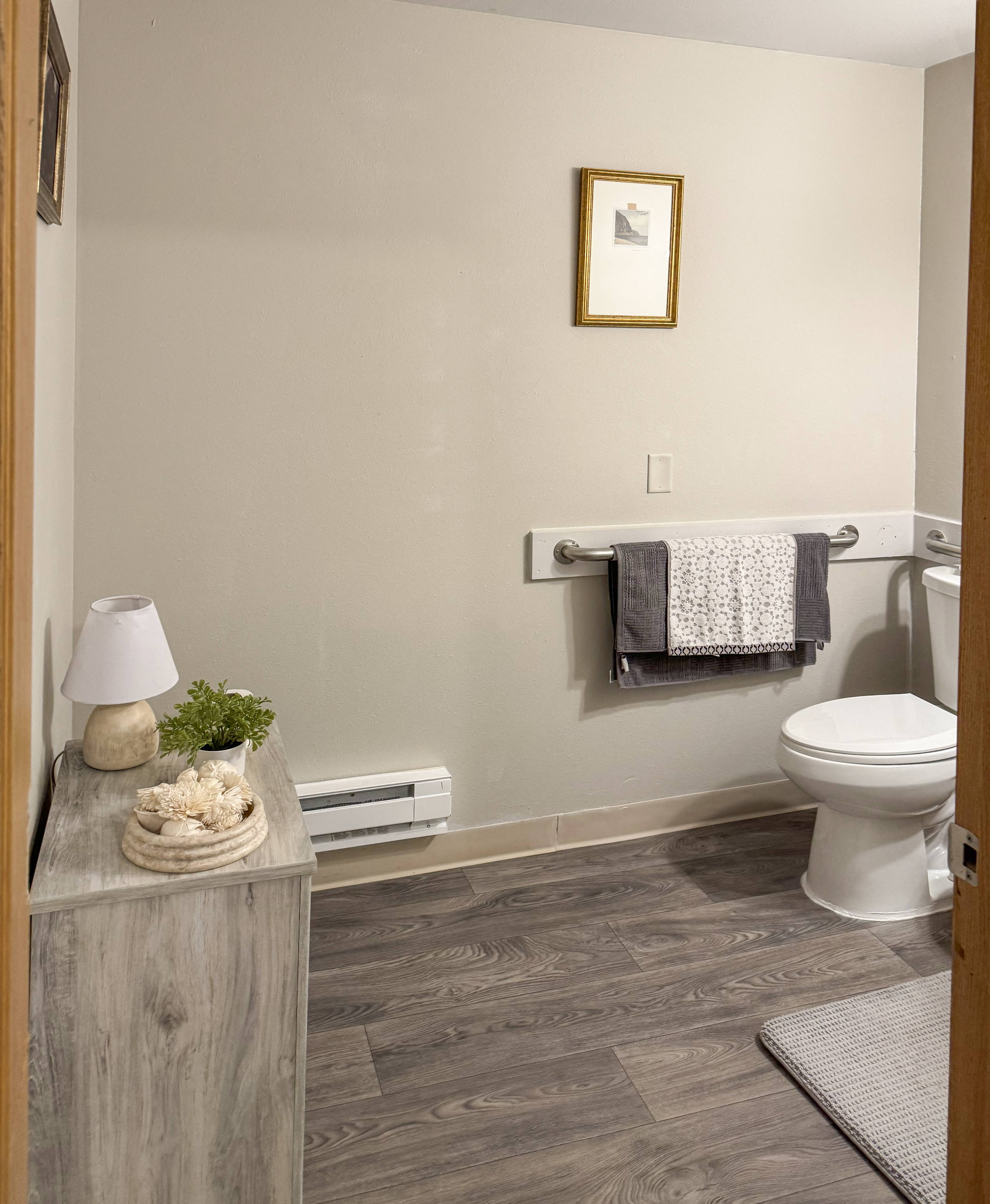 A bathroom with a toilet, a lamp, a plant, and a picture on the wall.